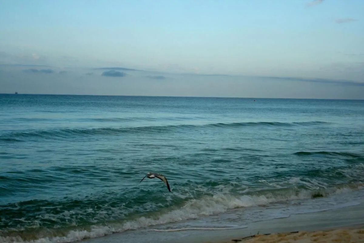 Edgewater Beach Resort Panama City Beach Lägenhet